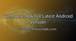 CatMouse Apk